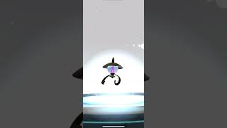 Evolving Shiny Litwick to Shiny Chandelure pokemongo pogo shinypokemon [upl. by Kerstin]