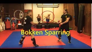 Katana Bokken vs Katana Bokken Sparring [upl. by Irol]