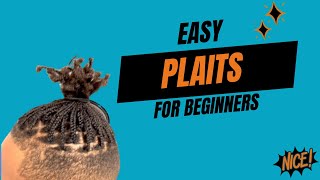 Easy Plaits For Beginners  The Basics [upl. by Vincenty646]