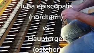 Tuba episcopalis vs Hauptorgel Dom Münster [upl. by Alaj]