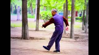 Master Chen Xiang one of first students from grandmaster Gong Feng Zhiqiang [upl. by Ytisahcal418]