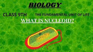 WHAT IS NUCLEOID  CELL  SIMPLEST WAY TO LEARN  NCERT  BIOSCIFY [upl. by Coward]