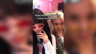 Kpop female idols being iconic living memes [upl. by Ariella537]