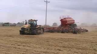 Planting Double Crop Soybeans [upl. by Blount]