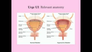 Urge Urinary Incontinence  CRASH Medical Review Series [upl. by Elizabeth833]