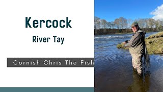 Salmon Fly Fishing  Kercock Fishery  River Tay  Scotland  March 2022 [upl. by Cence]