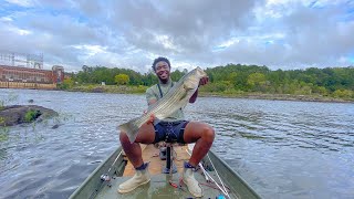 Dam Fishing For BIG Striped Bass Catch Clean amp Cook [upl. by Remark]