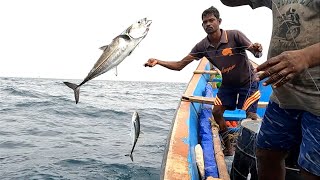 Catching Horse Mackerel Fish Queen Fish amp Needle Fish in the Sea [upl. by Lashond]