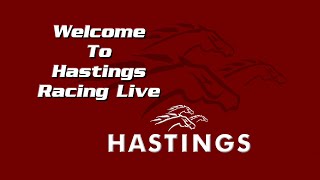 Hastings Racecourse Official Live Stream August 10th 2024 [upl. by Gigi]