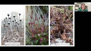 Kathryn Deery Gardening for the Seasons Lessons from Lurie Garden [upl. by Airyt]