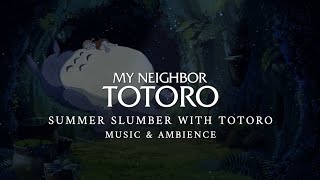 My Neighbor Totoro My Neighbor Totoro [upl. by Eamon474]