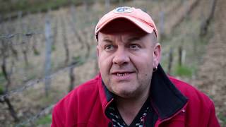 JeanFrancois Ganevat  Pourquoi la biodynamie  Why Biodynamics [upl. by Enehpets404]