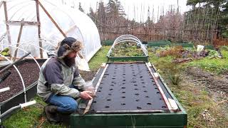 Growing parsnips for a short season [upl. by Eissirk]