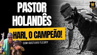 Pastor Holandês Hari o Campeão [upl. by Roderica692]