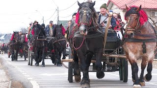 Cai în drum spre Șezătoarea Vicovenilor  Bucovina 21 Februarie 2024 [upl. by Ewen384]