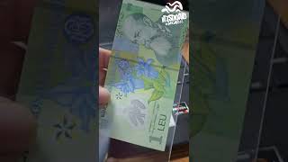 Romanian  1 leu money currency bank [upl. by Ayin]