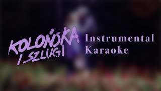 SANAH  KOLOŃSKA I SZLUGI  INSTRUMENTALKARAOKE [upl. by Rolandson564]