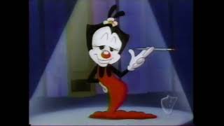 Animaniacs  Video Review Kids WB Airing [upl. by Lashond]