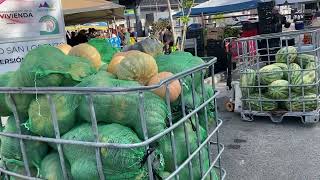 Mercado Familiar en San Lorenzo Puerto Rico [upl. by Ahsitan473]