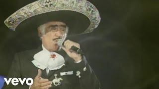 Vicente Fernández  Que De Raro Tiene Cover Audio La Leyenda Viviente Video [upl. by Naie152]