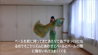 ダブルベール初心者さん用 簡単振付③ ＃ベリーダンス ＃ダブルベール 曲 Peithos veil ＃bellydance doubleveils doubleveil peithosveil [upl. by Lane262]