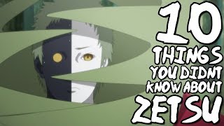 10 Things You Probably Didnt Know About Zetsu 10 Facts  Naruto Shippuden  BlackWhite Zetsu [upl. by Slerahc525]