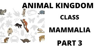 ANIMAL KINGDOM CLASS MAMALIAEXAMPLESPROTOTHERIAMETATHERIA [upl. by Nykal]