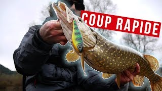 Comment pêcher le brochet ULTRA RAPIDEMENT [upl. by Marcelline]