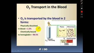 Respiratory Physiology  Gas Transport Part 1 [upl. by Eedissac730]