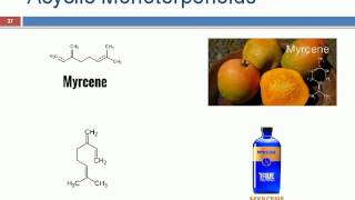 Terpenoids ppt [upl. by Hayton]