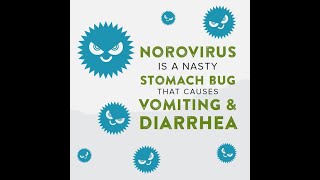 Norovirus is a nasty stomach bug [upl. by Houston]