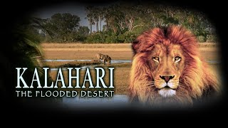 Kalahari The Flooded Desert Full Movie in HD [upl. by Brianna]