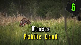 Episode 6 Late Season Kansas Long Beards  Spring Turkey Hunting 2024 [upl. by Fletch594]