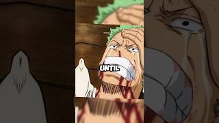 How Many Times Has Zoro Cried in One Piece 😭😱 [upl. by Hagi]