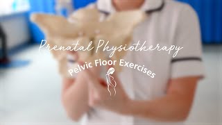 Prenatal Physiotherapy Pelvic Floor Exercises [upl. by Marka]