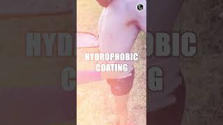 Do You Know About Hydrophobic [upl. by Lorri]