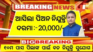 Odisha Govt Peon Post Recruitment 2024  Salary 20000 PM  Odisha Govt Free Job Alert 2024 [upl. by Yecram935]