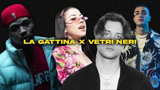 LA GATTINA x VETRI NERI Jaylonn Mashup [upl. by Ynaffital]