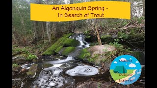 An Algonquin Spring  In Search of Trout [upl. by Weinert]