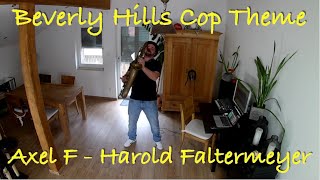 Beverly Hills Cop Theme  Axel F  Harold Faltermeyer Rolax Sax Cover [upl. by Ateuqirne]