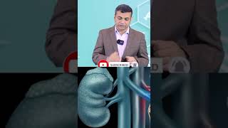 क्रिएटिनिन और किडनी फेलियर में अंतर पहचाने  How Creatinine Levels different from Kidney Failure [upl. by Kirt]