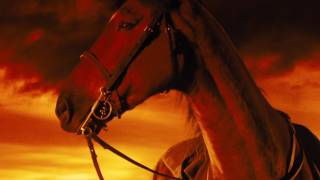 WAR HORSE Trailer 2011  Official HD [upl. by Swain243]