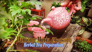 Damong Maria Tea Preparation  Mugwort Tea Preparation [upl. by Nwahsauq178]