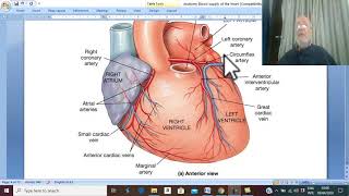 CVS module 13 Arterial supply of the heart   by Dr Wahdan [upl. by Aitenev]