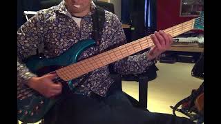 Payson Fanned Fret Multiscale Nickel Steel Bass Strings Dingwall Combustion Active [upl. by Jackelyn]