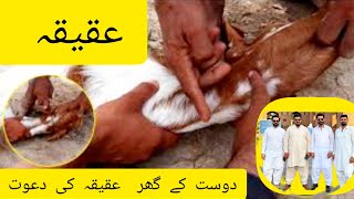 Dost K Ghar Aqiqah ki Dawat Alhumdullilah Aqiqah Done [upl. by Winola]