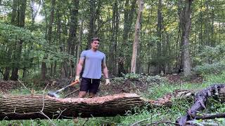 Day 01 Chopping wood for a workout [upl. by Dickens]