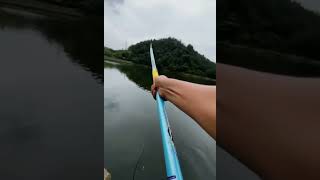 wonderful bait grape 🍇 amazing big fish catching fishing carpfishing fish 钓鱼 travel [upl. by Alard]