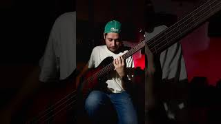 Natural harmonics hit different on the bass bassguitar bassguitarsolo [upl. by Krawczyk]