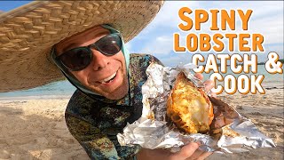 Cooking Fresh Spiny Lobster On A Driftwood Beach Fire  CATCH AND COOK  Sailboat Story 268 [upl. by Sharona]